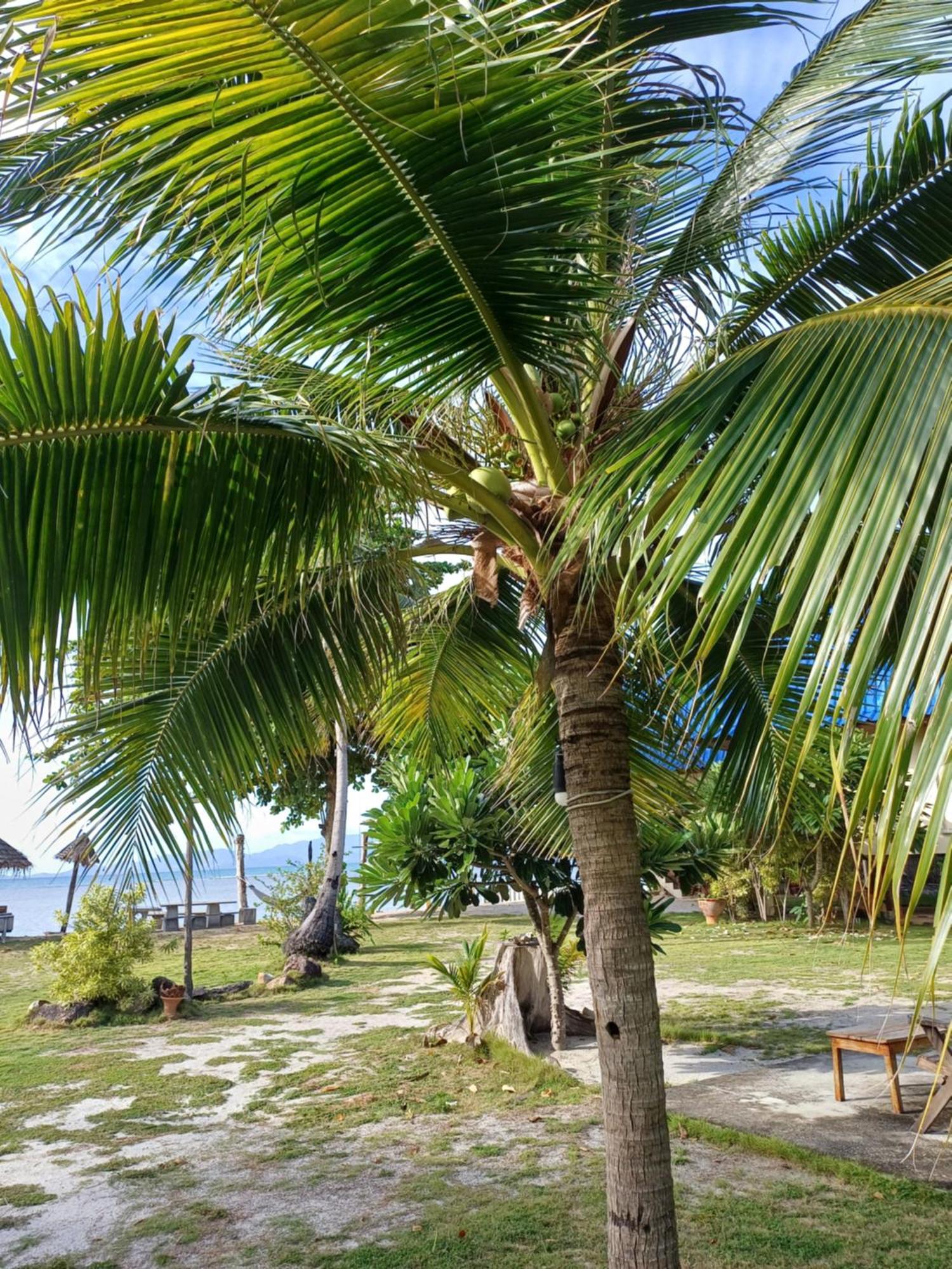 Tropicana Khophagan Resort Hotel 通萨拉 外观 照片